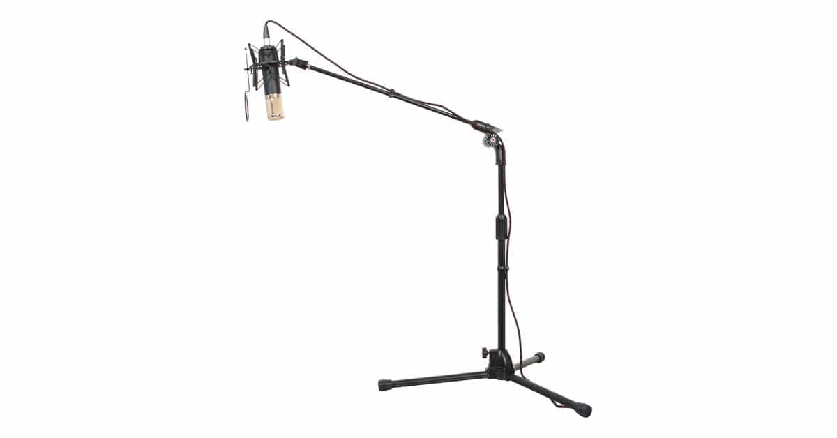 Stand w/ Mic
