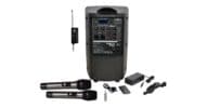TQ8X-GTU-HH-two-handheld-mics TQ8X-GTU-HH two handheld mics